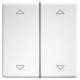 Eltako DW-FT55-wg+2P double rocker laser engraved button and switch 30000985