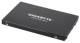 Gigabyte GP-GSTFS31240GNTD