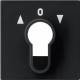 GIRA 0664005 cover key switch button system 55 sw