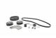 ZEBRA KIT MAIN DRIVE SYSTEM (INCLUDES