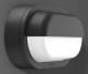 RZB 582066.0031.1 Alu-Lux oval, 12 W, 288 lm, 840, anthrazit, Wandleuchten