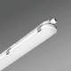 Regiolux 50135854115 ran-DV/1500 LED 5800-3600 830/865 ETM IP65, Leuchte 