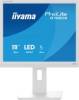 Iiyama B1980S-W1