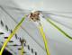 Rittal 7548210
