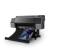 Epson C11CH13301A0