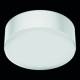 Steinel 088309 Design lights indoor light RS PRO A10 SC NW WS 