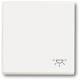 Busch Jaeger 2CKA001751A3192 BJ 2520 LI-884 rocker with print studio white matt future linear cover