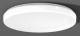 RZB 312087.002.3 Wand-Deckenleuchte LED/36W 4000K D515 H70 PMMA 3200lm