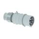 Bals 210238