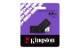 Kingston DTXS/64GB