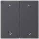 GIRA 538728 rocker 2f arrows system 55 anthracite