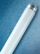 Osram 4050300004235 L 18W/77 fluorescent lamp FLUORA, EE: B