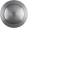 Hager REH015X Einschraub-Taste rund D 19 mm Edelstahl