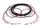 Synergy 21 S217071 Fiber optic cable, trunk cable U-DQ(ZN)BH 8G 50/125, LC/LC OM4 20m, ring, Synergy21