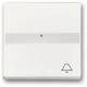 Busch Jaeger 2CKA001731A4004 BJ 1764 NLI/KI-884 rocker studio white matt future linear cover