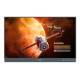 Benq 9H.FC1TC.DE1 RP6505 65 inch LED Touch