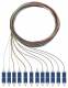 Rutenbeck Pigtails 12xSC OS2 2m 228040802