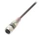 Balluff BCC M415-0000-1A-010-PX0434-020 Steckverbinder M12 BCC032A
