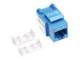 INTELLINET 210737 Cat6 UTP modular jack, blue