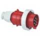 Bals 21667
