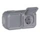 Legrand 069742L Plexo New FRAP 2f prewired SSDO horizontal SL EB