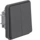 Hager WNA042 series switch insert with toggle 2f and common input terminal W.1 IP55