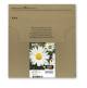 Epson C13T18164511