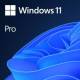 Microsoft FQC-10534
