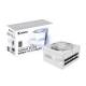 Gigabyte GP-AE850PM PG5 ICE