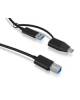 USB Adapter IcyBox USB 3.2 (Gen 1) Type B zu Type A & Type C
