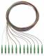 Rutenbeck Pigtails 12xLC OS2 APC 2m 228040402