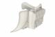 Cambium Networks C600500C024A