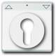Busch Jaeger 2CKA001710A3175 BJ 1755 SL/PZ-84-101 Cover for key switch future linear sws