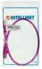 Intellinet 735247