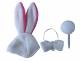 ALLNET Robert-Easter