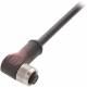 Balluff BCC M428-0000-1A-069-PX0825-100 Steckverbinder mit Kabel BCC0C6P