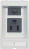 Murrelektronik 4000-68000-0110000 MSDD Modlink Steckdose USA NEMA 125 VAC 3 A