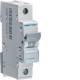 Hager MCN163 LS-Schalter 1P 6kA C-63A 1M