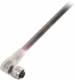Balluff BCC M323-0000-10-004-PX0334-030 Steckverbinder BCC08LW