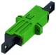 Rutenbeck 228061300