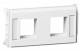 Schneider Electric 5971861 Schneider Montageplatte m Schriftfeld 2XAMP 110 CONN.-BU. weiß