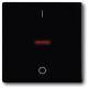 Busch Jaeger 2CKA001751A3042 BJ 1788-885 Abdeck.f.Ausschalter 2p 3p, check-off future linear sw