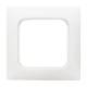 Busch Jaeger 2CKA001725A1494