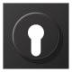 Jung AL2928D cover for key switch LS aluminum dark