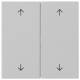 GIRA 5387015 rocker 2f arrows system 55 grey m