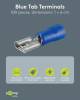 Fixpoint 17004