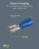 Fixpoint 17004