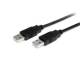 StarTech.com 2m USB 2.0 A to A Cable - M/M - USB - 2m - 1 Pack - 1 x Type A Male USB