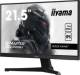 Iiyama G2245HSU-B2