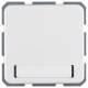 Berker 471909 Steckdose SCHUKO mit Klappdeckel und Beschriftungsfeld wg UP